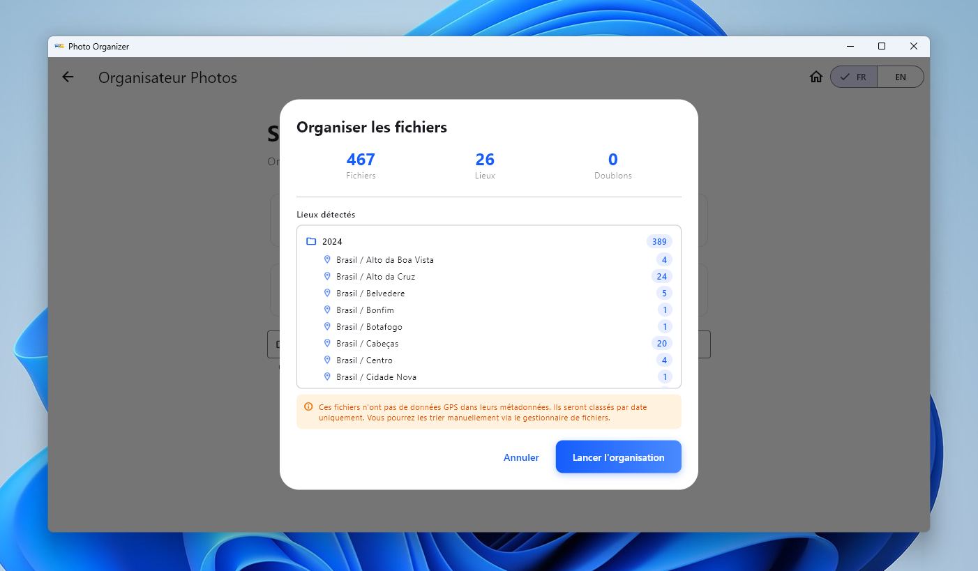 Résultat de l'organisation — catégories détectées