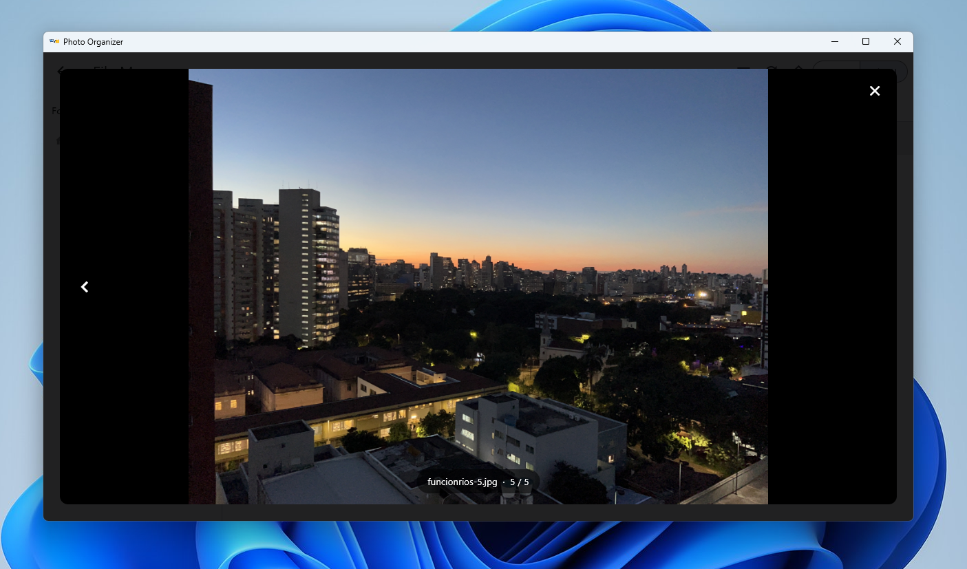 Visionneuse de photos intégrée